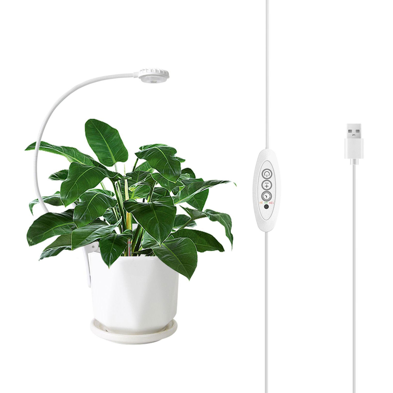 植物育成ライト